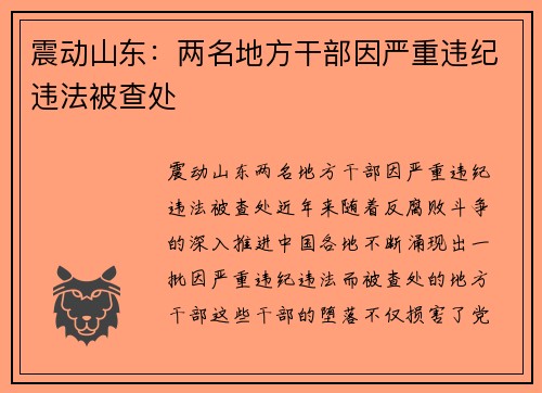 震动山东：两名地方干部因严重违纪违法被查处